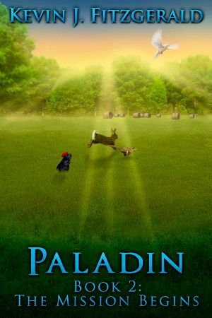 [Paladin 02] • The Mission Begins